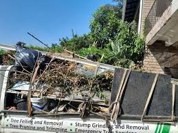 Best Dumpster Rental Services  in Granby, MO